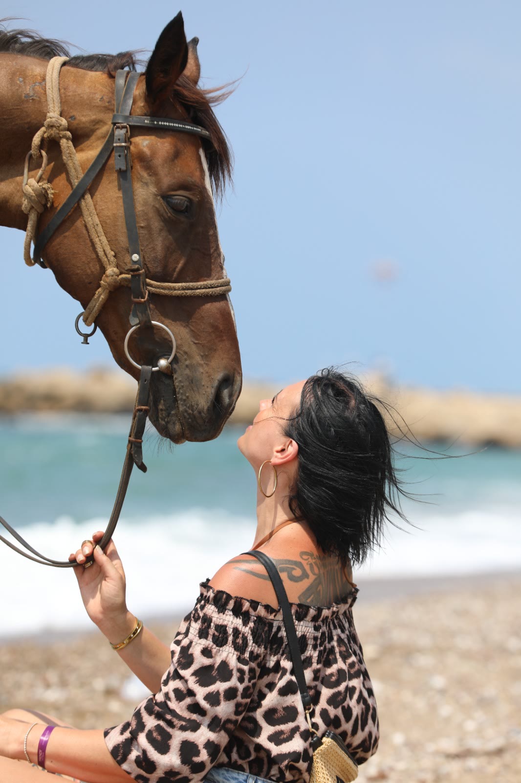 A quiet moment between rider and horse on a long journey