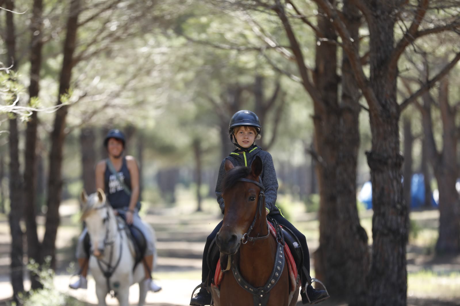 Young riders on a pine forest trail