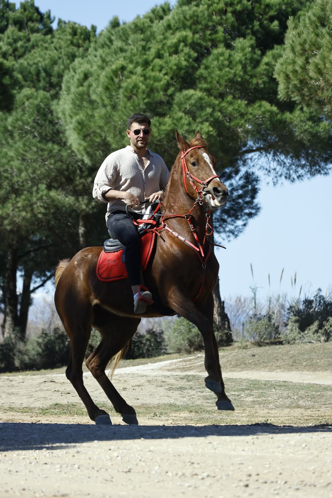 An experienced rider at full gallop on a chestnut horse